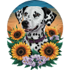 Cute Dalmatian with orchids