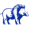 Wild Boar Animal 1