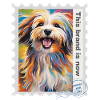 Airbrush-Illustration "Havanese 08" EN