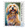 Airbrush-Illustration "Havanese 09" EN
