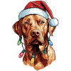 Rhodesian Ridgeback Dog Christmas Hat Xmas