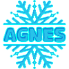 Gift for Agnes
