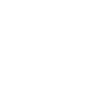 Year 2011