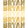 Roots Bryan