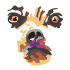 Bear with pink muzzle