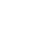 Australian Shepherd Aussie Dog