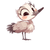 Cranes Crane