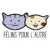 FELINES FOR THE OTHER
