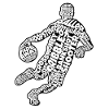 Basketball Calligraphy Hoops Basketball