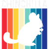 Chinchilla