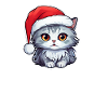 Cat Christmas