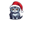 Cat Christmas