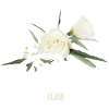 Équipe Bride