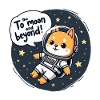 MOON AND BEYOND