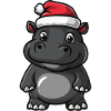 Hippopotamus Christmas Christmas