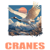 Cranes Crane
