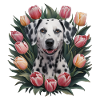 Cute Dalmatian with tulips