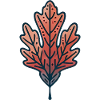 Rustic Autumn Leaf Illustration