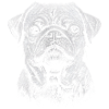 Mops Portrait Hunde Hund