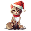 Cat Christmas Pets Pet Christmas