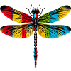 Libellule