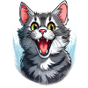 A cat full of enthusiasm