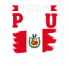 Peru Peruvian Gift