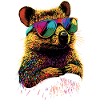 Quokka Sunglasses Rainbow Australia Quokkas
