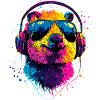 Quokka Sunglasses Rainbow Australia Quokkas