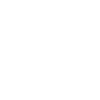 Zwergspitz Pommersche Pomeranian