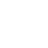 Finnish Lapphund Finnischer Lapphund