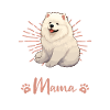 Samoyède Groovy Maman Samoyède