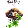 Igelmama , beste Igelmama, Igelshirt
