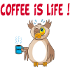 Owl and Coffee (English)