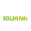 Iguana Control Chasseur Chasse