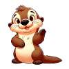 otter 19