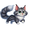 Maine Coon 12