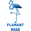FLAMANT ROSE