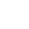CEO of the House