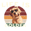 Life is Golden