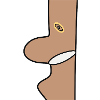 leg