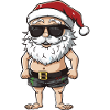 Santa Claus Holiday Santa