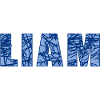 Liam Name