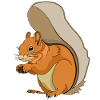 Écureuil