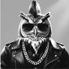 Rocky the Owl