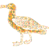 Albatross Geometric