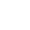 Capybara