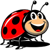Ladybird