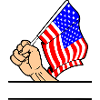 Flag USA fist text space