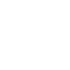 harmonica